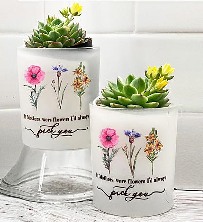 Mother's Day Succulent Gift Box
